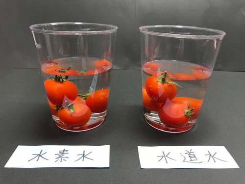 水素水と水道水が入ったコップにミニトマトが入っている画像