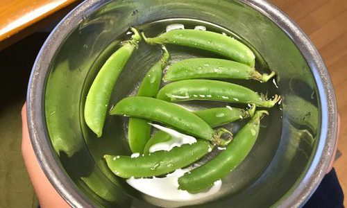 絹さやを水素水に浸けている画像