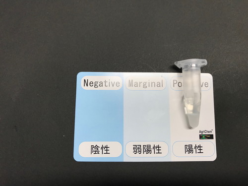 検査キットの色が変わらず陽性だと判断された画像