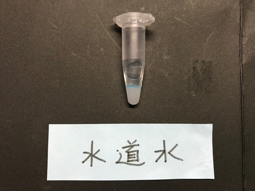 水道水で行った検査キットの画像